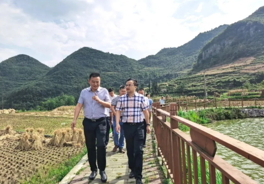 畢節(jié)工業(yè)職業(yè)技術(shù)學(xué)院黨委書記李涌、院長邱國援率隊(duì)到鄉(xiāng)村振興駐村聯(lián)系工作點(diǎn)調(diào)研